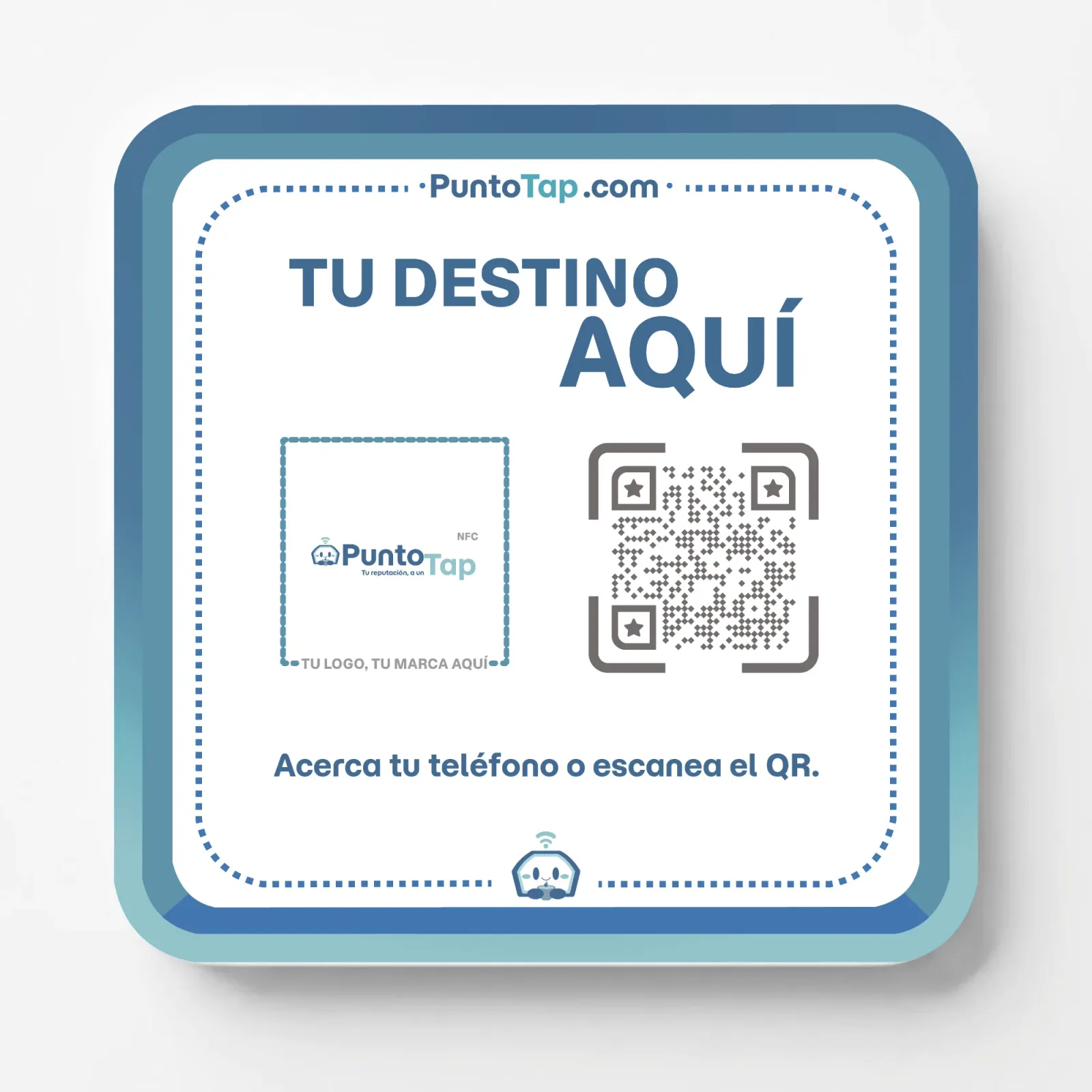 Formato Placa